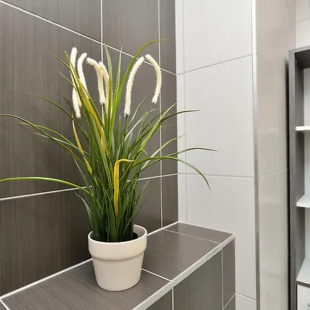 Apartment Sweet Corner Zadar
